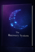 The Recovery System